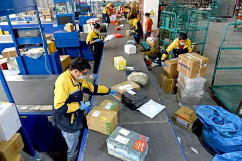 23條政策舉措出臺 優化互聯網接入及相關服務，促進行業高質量發展